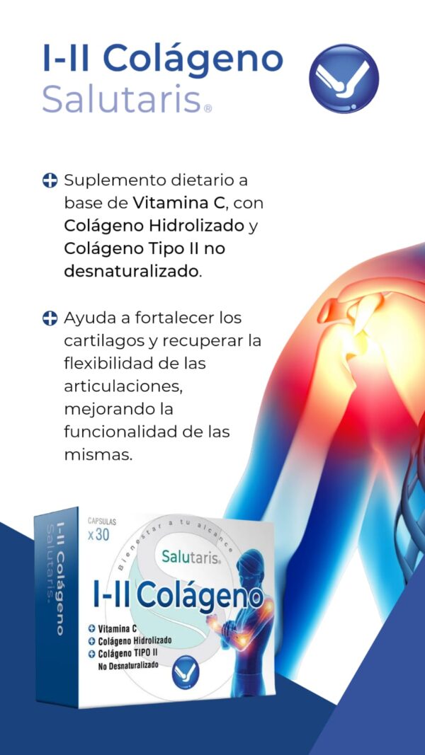 Colageno Tipo I y II (Hidrolizado y No Desnaturalizado) x 30 Caps Salutaris - Imagen 2