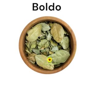 Boldo en Hojas a Granel x 100 Grs