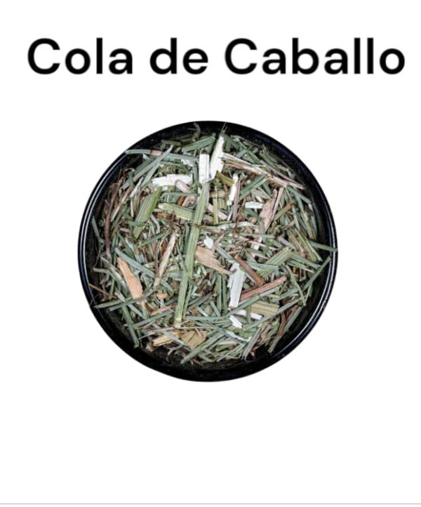 Cola de Caballo a Granel x 100 grs