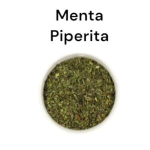 Menta Piperita en hojas a Granel x 100 grs