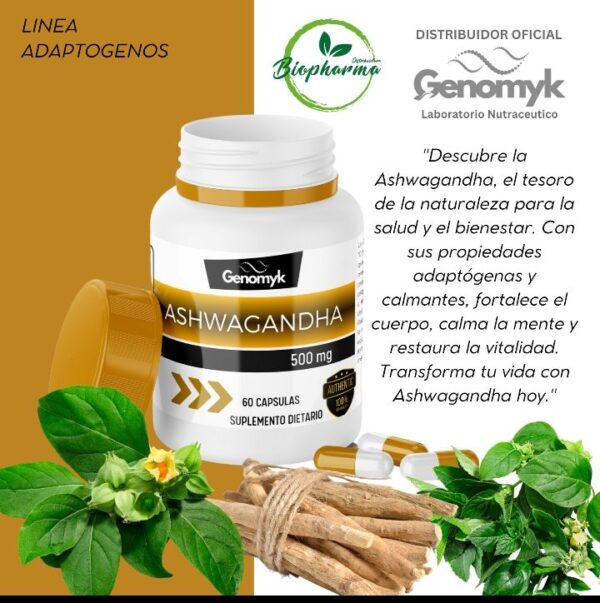 Ashwagandha adaptogeno Genomyk x 60 comp - Imagen 2