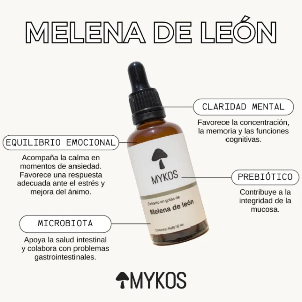 Extracto de Melena de Leon Adaptogeno Mykos x 50 ml - Imagen 2